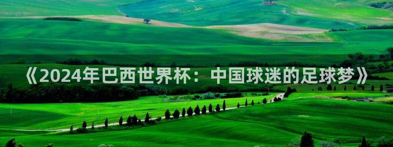 世界杯亚洲预选赛18强赛程：《2024年巴西世界杯：中国球迷的足球梦》