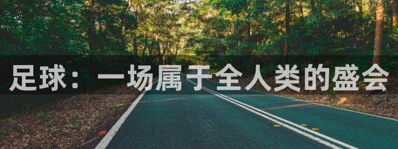 2026世界杯中国队：足球：一场属于全人类的盛会