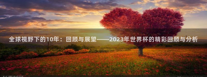 2026世界杯中国队：全球视野下的10年：回顾与展望——2023年世界杯的精彩回顾与分析