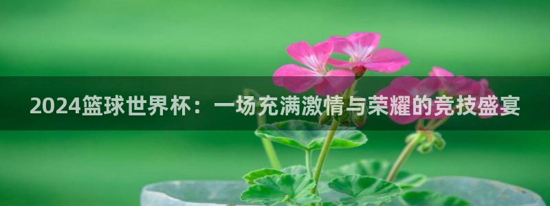 2026世界杯欧洲预选赛赛程表：2024篮球世界杯：一场充满激情与荣耀的竞技盛宴