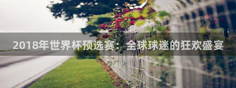 世界杯直播时间：2018年世界杯预选赛：全球球迷的狂欢盛宴
