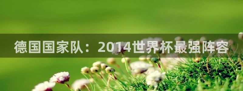 世界杯决赛圈球队：德国国家队：2014世界杯最强阵容
