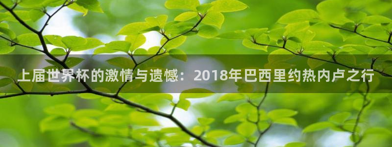2026世亚预赛赛程表：上届世界杯的激情与遗憾：2018年巴西里约热内卢之行