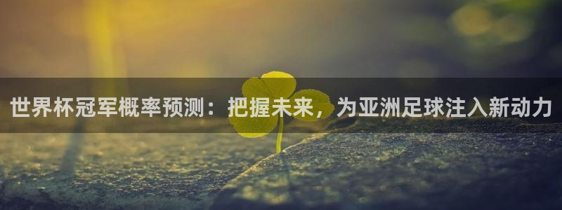 世界杯亚洲区预选赛赛程表：世界杯冠军概率预测：把握未来，为亚洲足球注入新动力
